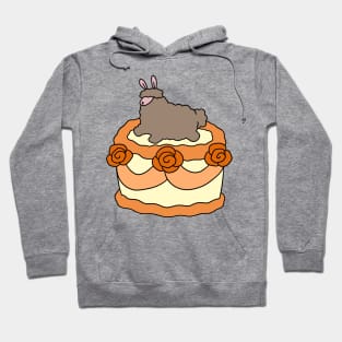 Birthday Cake Alpaca Hoodie